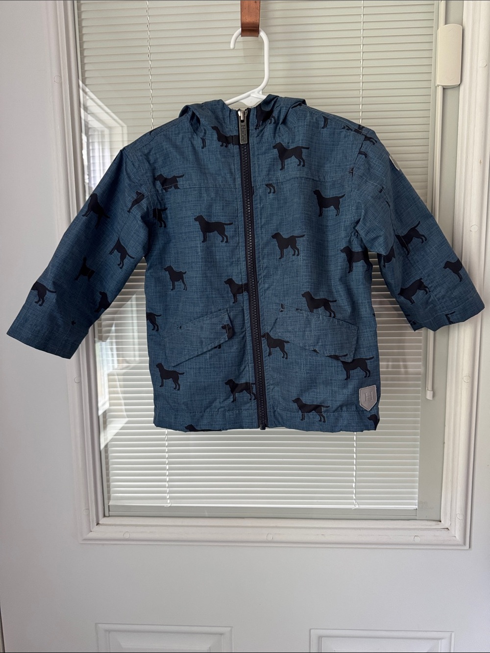 Hatley Blue Hooded Kids Raincoat with Dog Print
